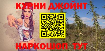 СК Абакан