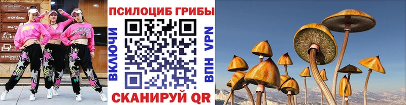 Псилоцибиновые грибы ЛСД  Алейск 