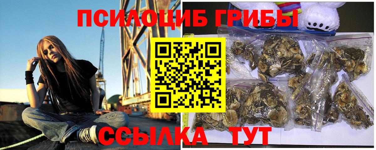 Галлюциногенные грибы прущие грибы  Галлюциногенные грибы мицелий  Вход с VPN  Алейск 