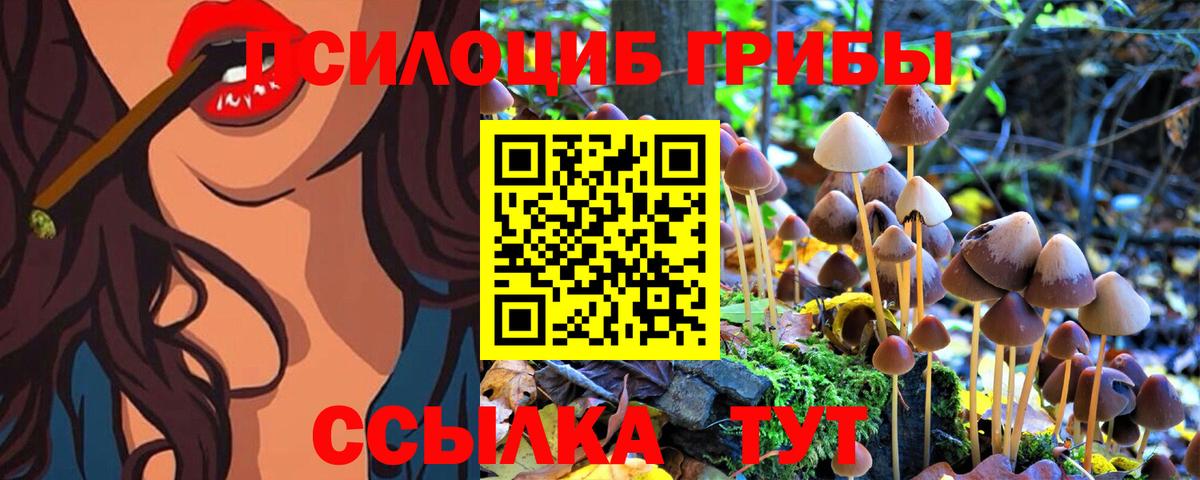 Галлюциногенные грибы мицелий  Псилоцибиновые грибы мицелий  где можно купить   Алейск 