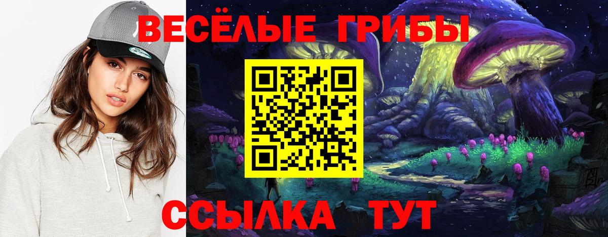 купить закладку  Галлюциногенные грибы Cubensis  Вход с VPN  Алейск 