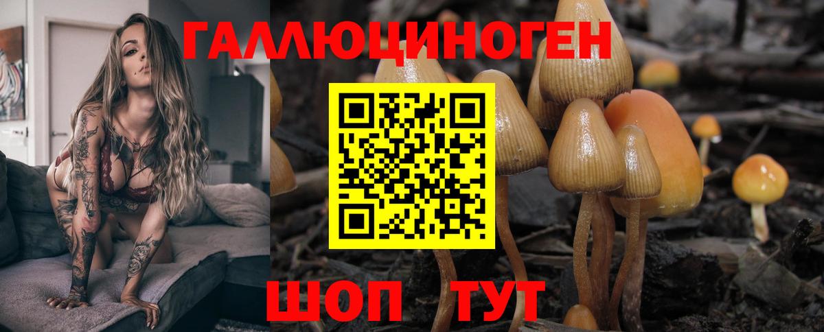 Галлюциногенные грибы GOLDEN TEACHER Алейск